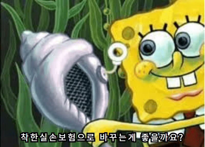 마법의 소라고동님 착한실손보험으로 바꾸는게 좋을까요 